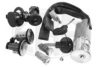 PSA 4162F8 Lock Cylinder Kit